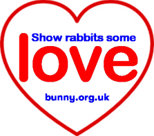 Show rabbits some love bigger website